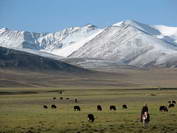 Ngarin - repülõtér a világ tetején Tibetben