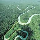 Ahol a természet mindent legyõz: Az Amazonas vidéke