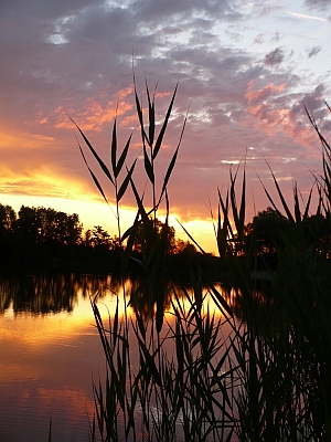 Dunaszeg
