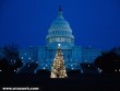 Washington karácsonyi fénye