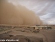 Homokvihar a Namíbiai sivatagban