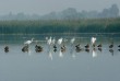 Szegedi Fehér-tó a természeté